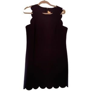J. Crew Scallop Dress Navy Sz 8
